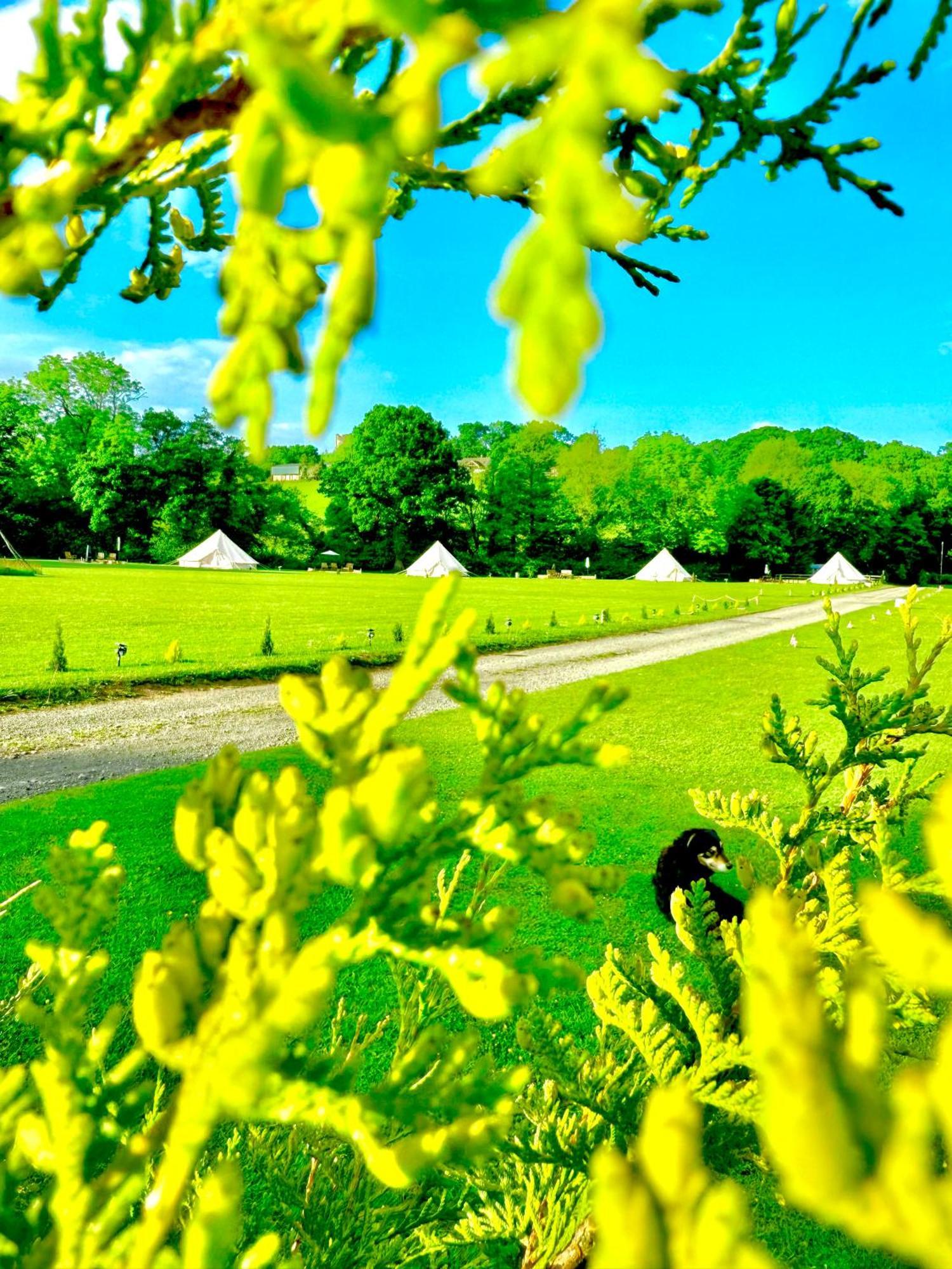 Cayoretreat Luxury Bell Tent Clodock Buitenkant foto